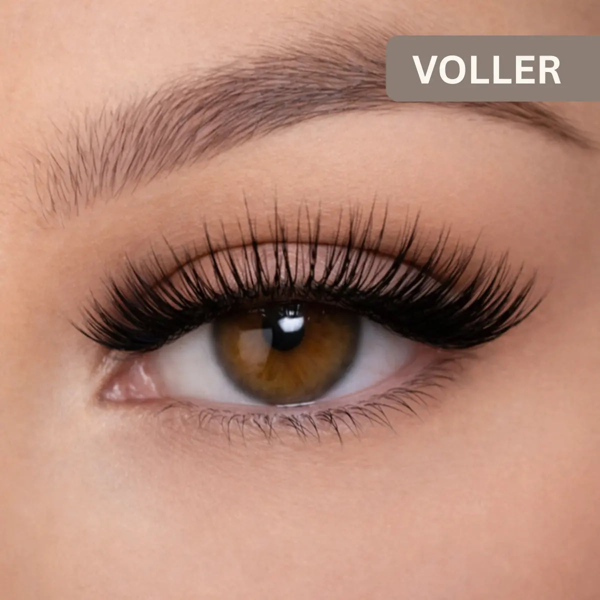 Nabolina magnetische Wimpern