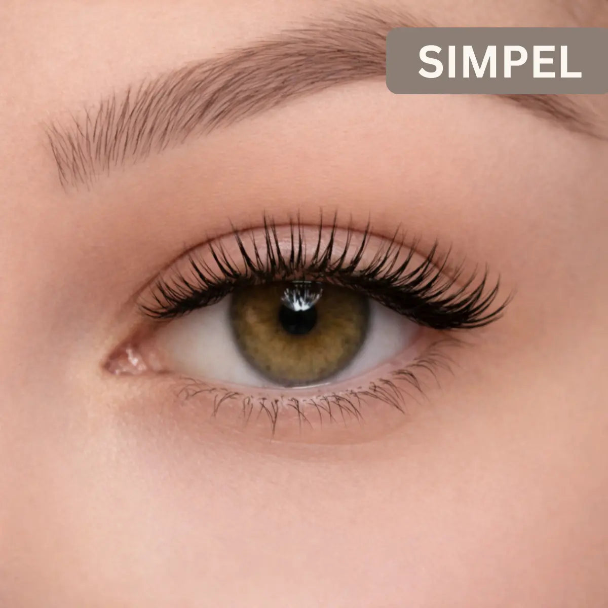 Nabolina magnetische Wimpern